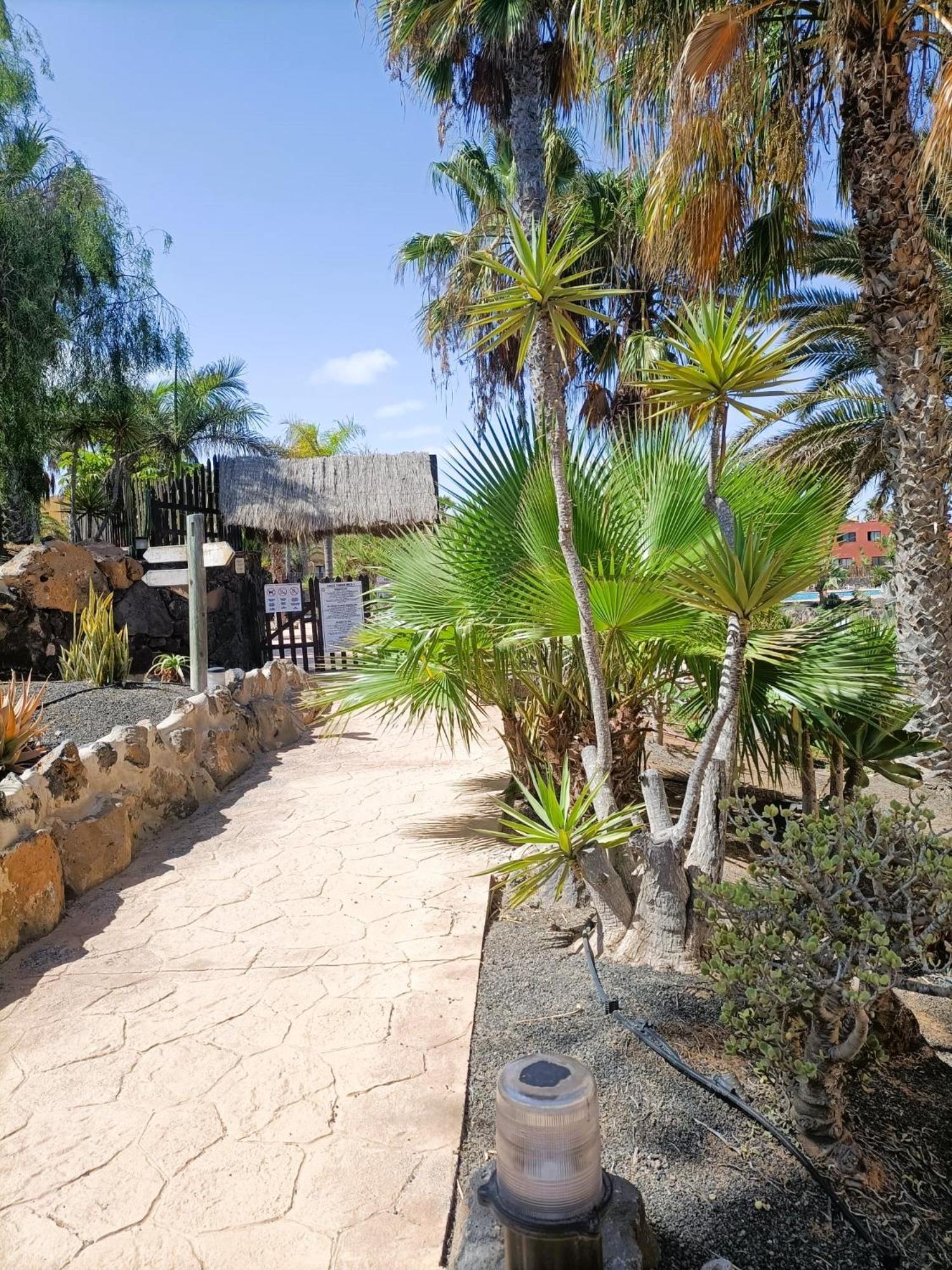 Casa Vacanza in Oasis Tamarindo Corralejo Esterno foto